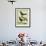 Coraya Wren and Black-Throated Antbird-Georges-Louis Buffon-Framed Giclee Print displayed on a wall