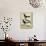 Coraya Wren and Black-Throated Antbird-Georges-Louis Buffon-Mounted Giclee Print displayed on a wall