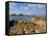 Corbiere Lighthouse, St. Ouens, Jersey, Channel Islands, United Kingdom, Europe-Neale Clarke-Framed Stretched Canvas