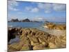 Corbiere Lighthouse, St. Ouens, Jersey, Channel Islands, United Kingdom, Europe-Neale Clarke-Mounted Photographic Print