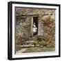 Corcorus Japonica-Helen Allingham-Framed Giclee Print