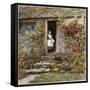 Corcorus Japonica-Helen Allingham-Framed Stretched Canvas