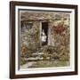 Corcorus Japonica-Helen Allingham-Framed Giclee Print