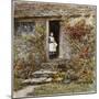 Corcorus Japonica-Helen Allingham-Mounted Giclee Print