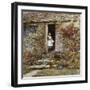 Corcorus Japonica-Helen Allingham-Framed Giclee Print