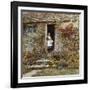 Corcorus Japonica-Helen Allingham-Framed Giclee Print