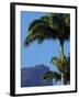 Corcovado and Christ statue viewed through the palm trees of the Botanical Garden, Zona Sul, Rio de-Karol Kozlowski-Framed Photographic Print