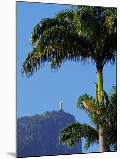 Corcovado and Christ statue viewed through the palm trees of the Botanical Garden, Zona Sul, Rio de-Karol Kozlowski-Mounted Photographic Print