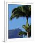 Corcovado and Christ statue viewed through the palm trees of the Botanical Garden, Zona Sul, Rio de-Karol Kozlowski-Framed Photographic Print