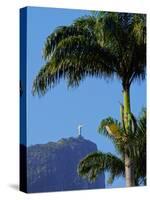 Corcovado and Christ statue viewed through the palm trees of the Botanical Garden, Zona Sul, Rio de-Karol Kozlowski-Stretched Canvas