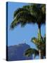 Corcovado and Christ statue viewed through the palm trees of the Botanical Garden, Zona Sul, Rio de-Karol Kozlowski-Stretched Canvas