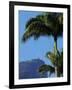 Corcovado and Christ statue viewed through the palm trees of the Botanical Garden, Zona Sul, Rio de-Karol Kozlowski-Framed Photographic Print