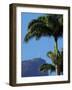 Corcovado and Christ statue viewed through the palm trees of the Botanical Garden, Zona Sul, Rio de-Karol Kozlowski-Framed Photographic Print