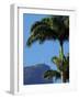 Corcovado and Christ statue viewed through the palm trees of the Botanical Garden, Zona Sul, Rio de-Karol Kozlowski-Framed Photographic Print