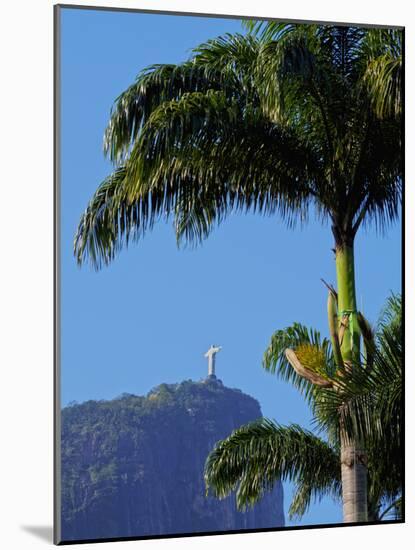 Corcovado and Christ statue viewed through the palm trees of the Botanical Garden, Zona Sul, Rio de-Karol Kozlowski-Mounted Photographic Print