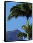 Corcovado and Christ statue viewed through the palm trees of the Botanical Garden, Zona Sul, Rio de-Karol Kozlowski-Framed Stretched Canvas