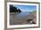 Corcovado National Park, Osa Peninsula, Costa Rica, Central America-Sergio-Framed Photographic Print