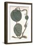 Cord Vi (John De Hastings, Edmund De Hastings, Edmund De Mortimer, Fulke Fitz-Warine), (1904)-null-Framed Giclee Print