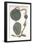 Cord Vi (John De Hastings, Edmund De Hastings, Edmund De Mortimer, Fulke Fitz-Warine), (1904)-null-Framed Giclee Print