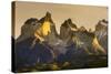 Cordillera Del Paine. Granite Monoliths. Torres Del Paine NP. Chile-Tom Norring-Stretched Canvas