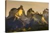 Cordillera Del Paine. Granite Monoliths. Torres Del Paine NP. Chile-Tom Norring-Stretched Canvas