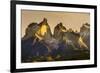 Cordillera Del Paine. Granite Monoliths. Torres Del Paine NP. Chile-Tom Norring-Framed Photographic Print