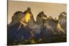 Cordillera Del Paine. Granite Monoliths. Torres Del Paine NP. Chile-Tom Norring-Stretched Canvas