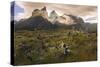 Cordillera Del Paine. Granite Monoliths. Torres Del Paine NP. Chile-Tom Norring-Stretched Canvas