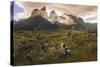 Cordillera Del Paine. Granite Monoliths. Torres Del Paine NP. Chile-Tom Norring-Stretched Canvas