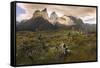 Cordillera Del Paine. Granite Monoliths. Torres Del Paine NP. Chile-Tom Norring-Framed Stretched Canvas