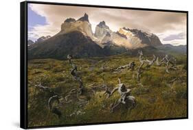 Cordillera Del Paine. Granite Monoliths. Torres Del Paine NP. Chile-Tom Norring-Framed Stretched Canvas