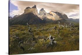 Cordillera Del Paine. Granite Monoliths. Torres Del Paine NP. Chile-Tom Norring-Stretched Canvas