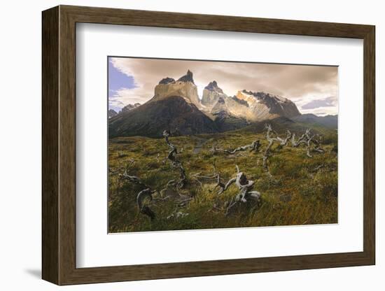 Cordillera Del Paine. Granite Monoliths. Torres Del Paine NP. Chile-Tom Norring-Framed Photographic Print