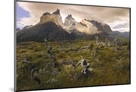 Cordillera Del Paine. Granite Monoliths. Torres Del Paine NP. Chile-Tom Norring-Mounted Photographic Print