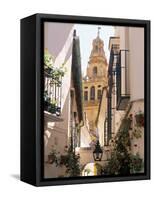Cordoba, Andalucia, Spain-Peter Adams-Framed Stretched Canvas