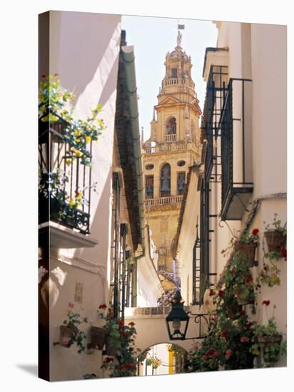 Cordoba, Andalucia, Spain-Peter Adams-Stretched Canvas