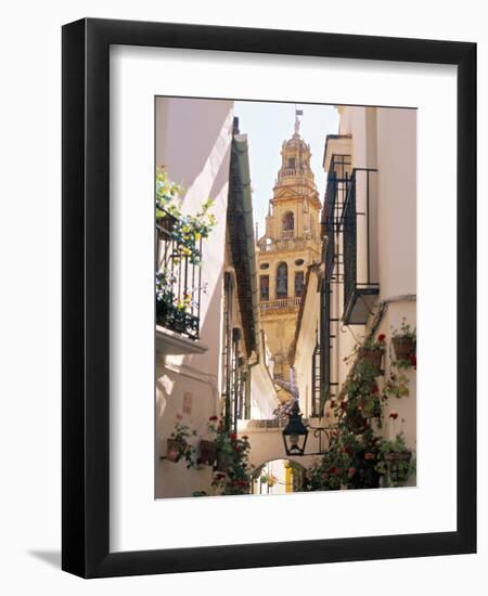 Cordoba, Andalucia, Spain-Peter Adams-Framed Photographic Print