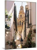 Cordoba, Andalucia, Spain-Peter Adams-Mounted Photographic Print