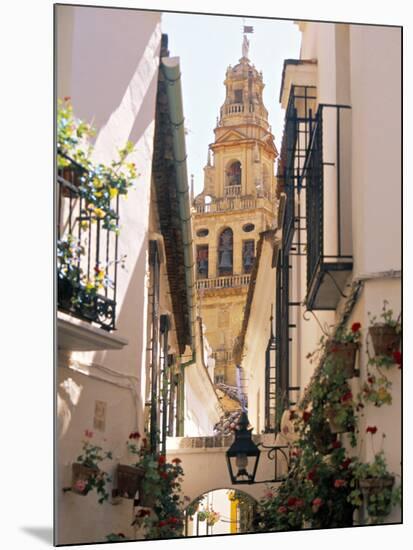 Cordoba, Andalucia, Spain-Peter Adams-Mounted Photographic Print