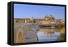 Cordoba, Andalusia, Spain-Toniflap-Framed Stretched Canvas