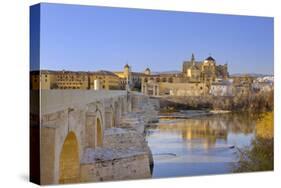 Cordoba, Andalusia, Spain-Toniflap-Stretched Canvas