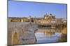 Cordoba, Andalusia, Spain-Toniflap-Mounted Photographic Print