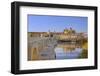 Cordoba, Andalusia, Spain-Toniflap-Framed Photographic Print