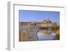 Cordoba, Andalusia, Spain-Toniflap-Framed Photographic Print