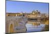 Cordoba, Andalusia, Spain-Toniflap-Mounted Photographic Print