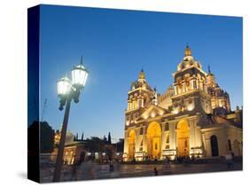 Cordoba Cathedral at Night, Cordoba, Argentina, South America-Christian Kober-Stretched Canvas