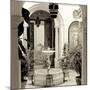 Cordoba II-Alan Blaustein-Mounted Photographic Print