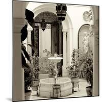 Cordoba II-Alan Blaustein-Mounted Photographic Print