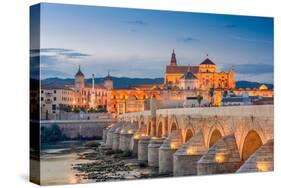 Cordoba, Spain View of the Roman Bridge and Mosque-Cathedral on the Guadalquivir River-Sean Pavone-Stretched Canvas