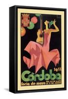 Cordoba-null-Framed Stretched Canvas